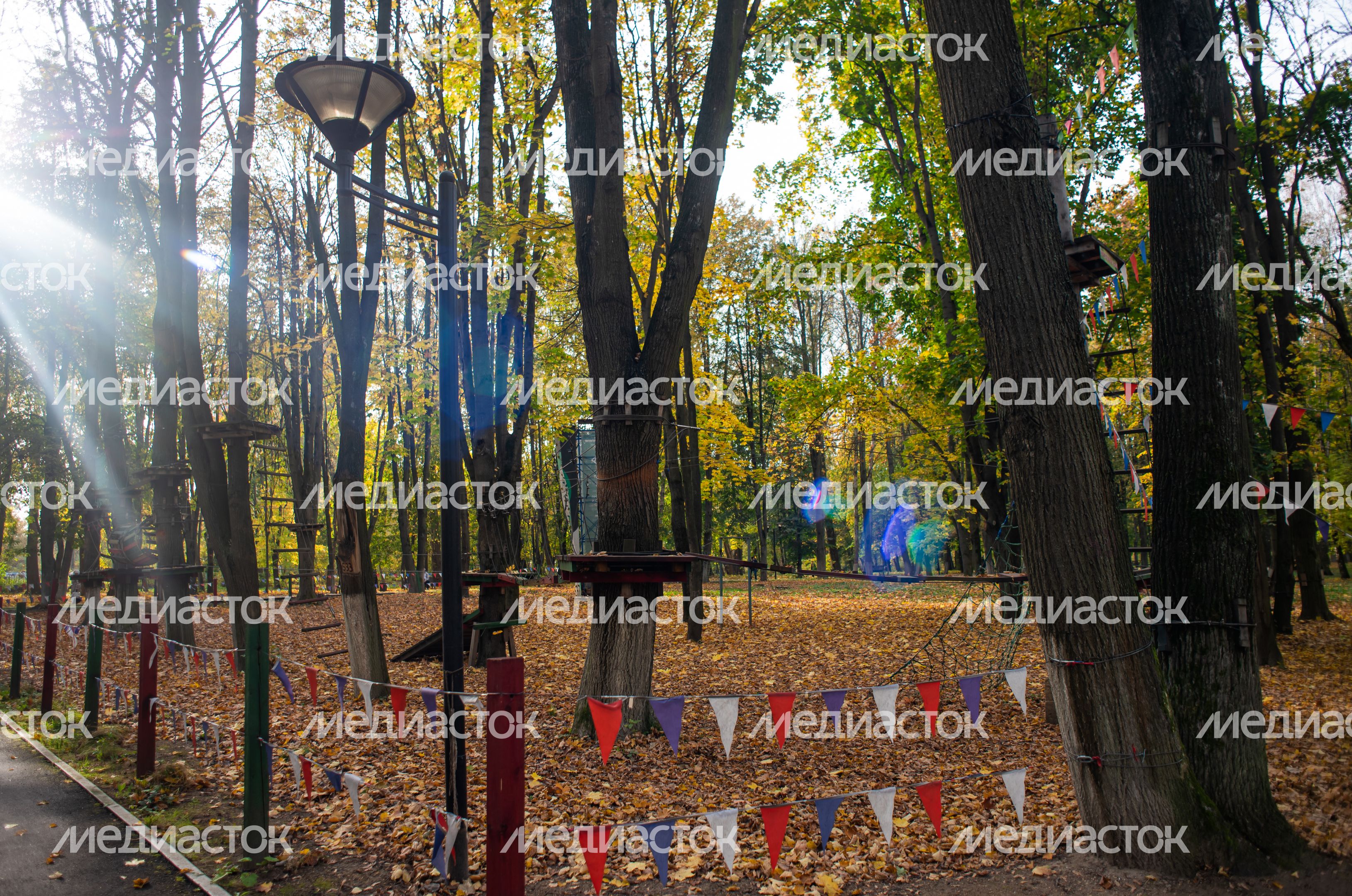 Осенние виды Городского парка в Щёлково