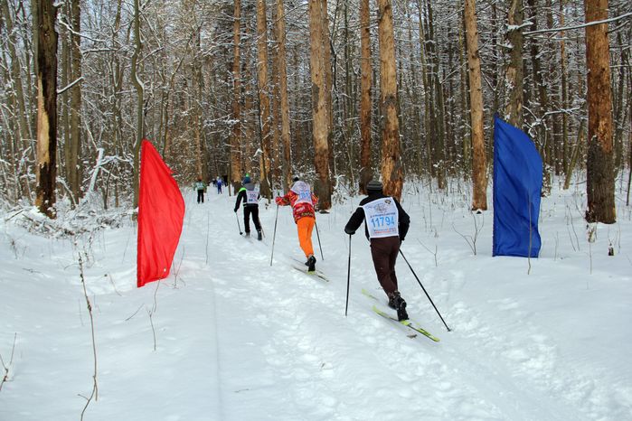 День зимних видов спорта в Серебряных Прудах