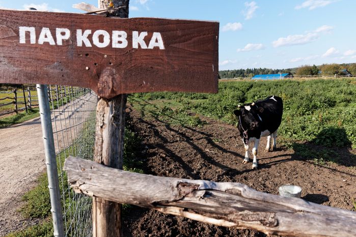 Экзотик-ферма в пос. Назарьево Одинцовского г.о.