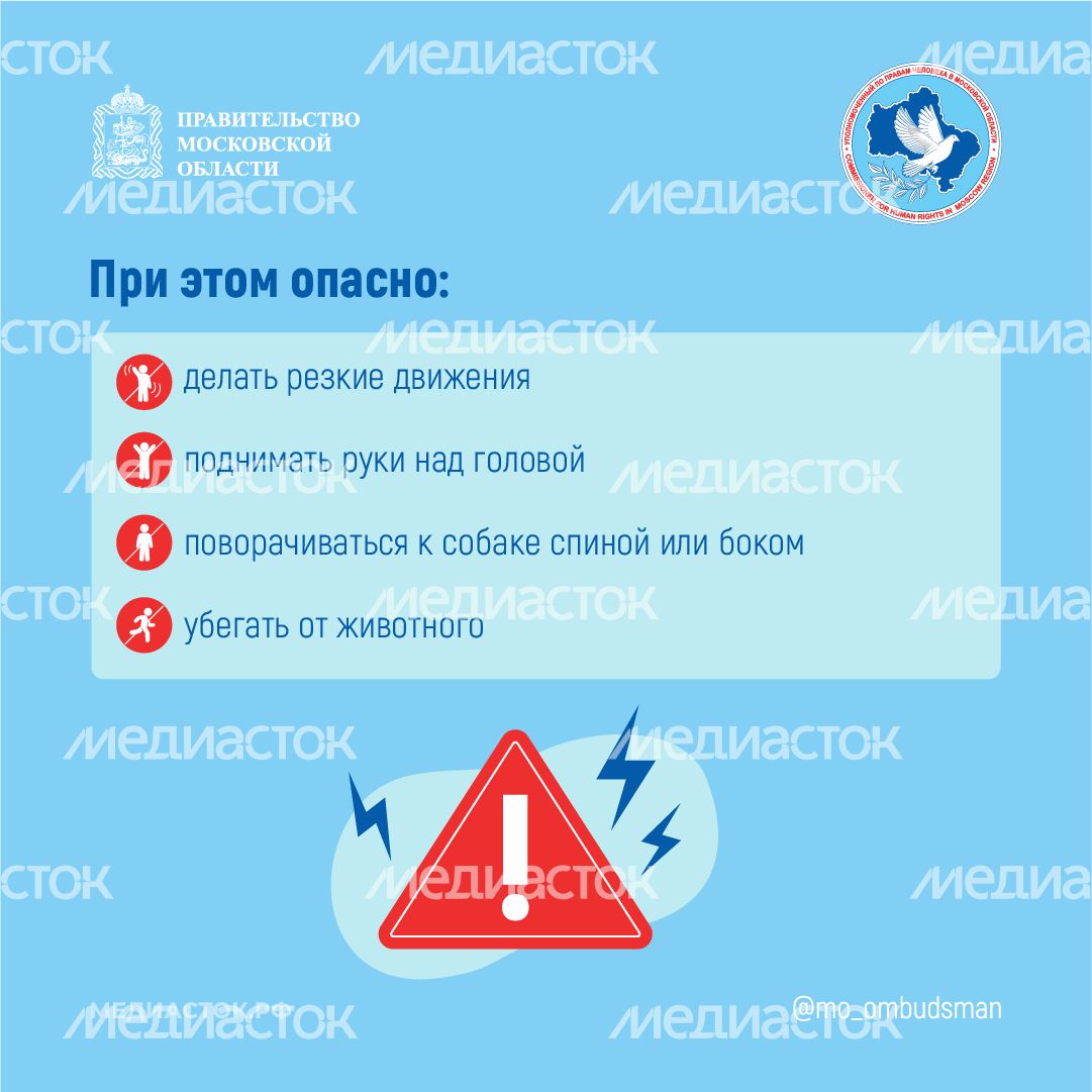 Осторожно злая собака квадрат 04 Осторожно злая собака квадрат 04