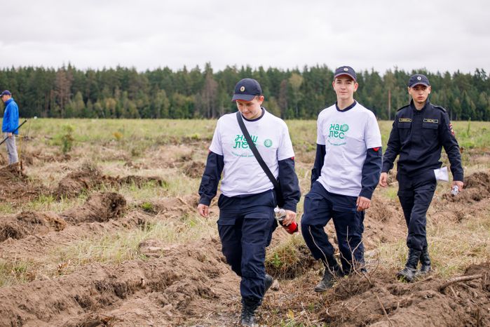 Богородский г.о. Наш лес. Посади свое дерево, сентябрь 2023 г.