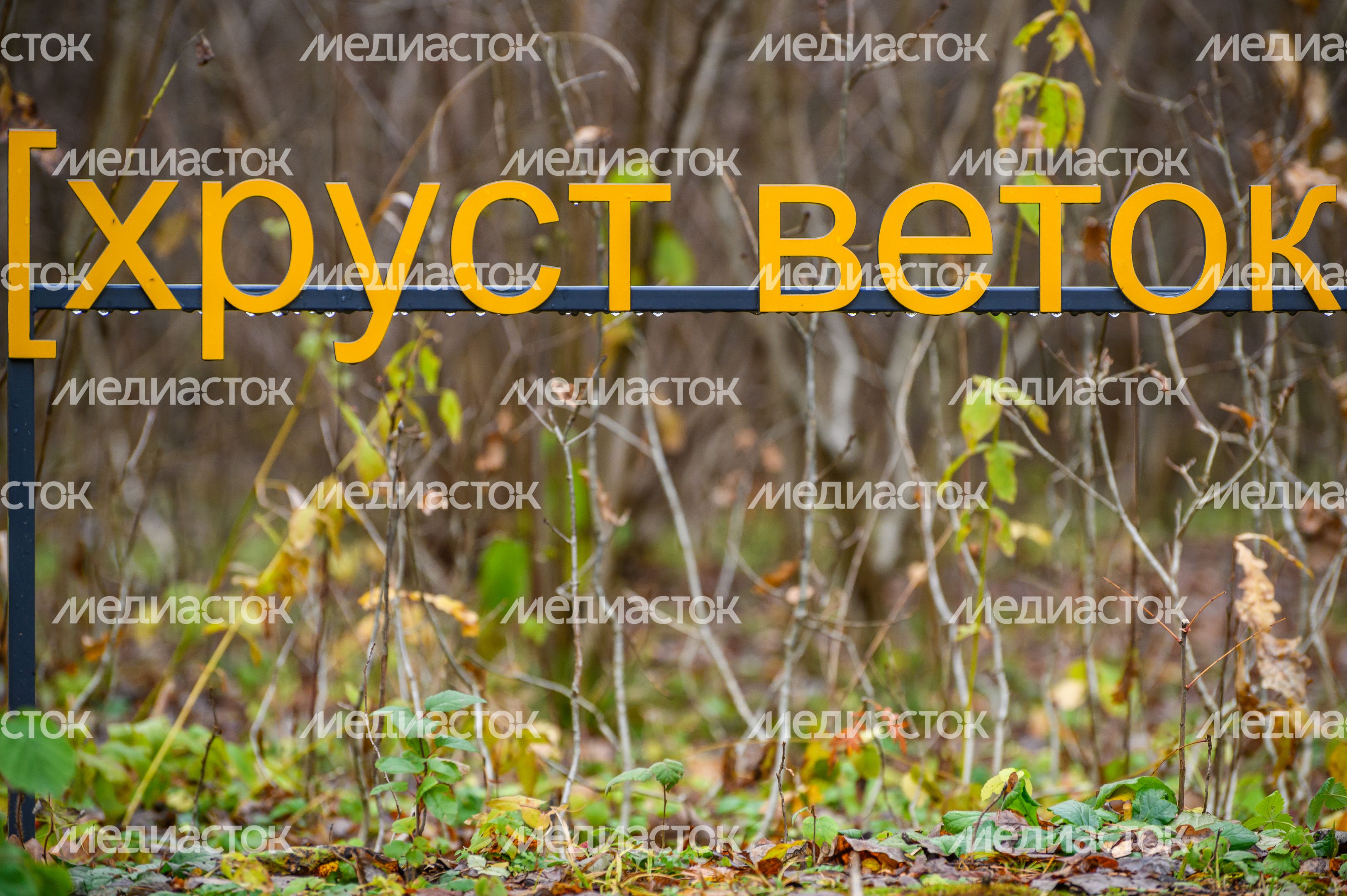 Арт-объект «Субтитры» группы «МишМаш» в парке Малевича Арт-объект «Субтитры» группы «МишМаш» в парке Малевича