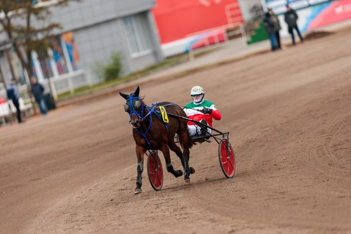 Рысистые бега на Раменском ипподроме