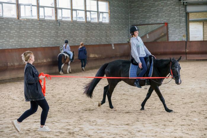 КониШкола «Олимпия» в деревне Орлово Ленинского округа