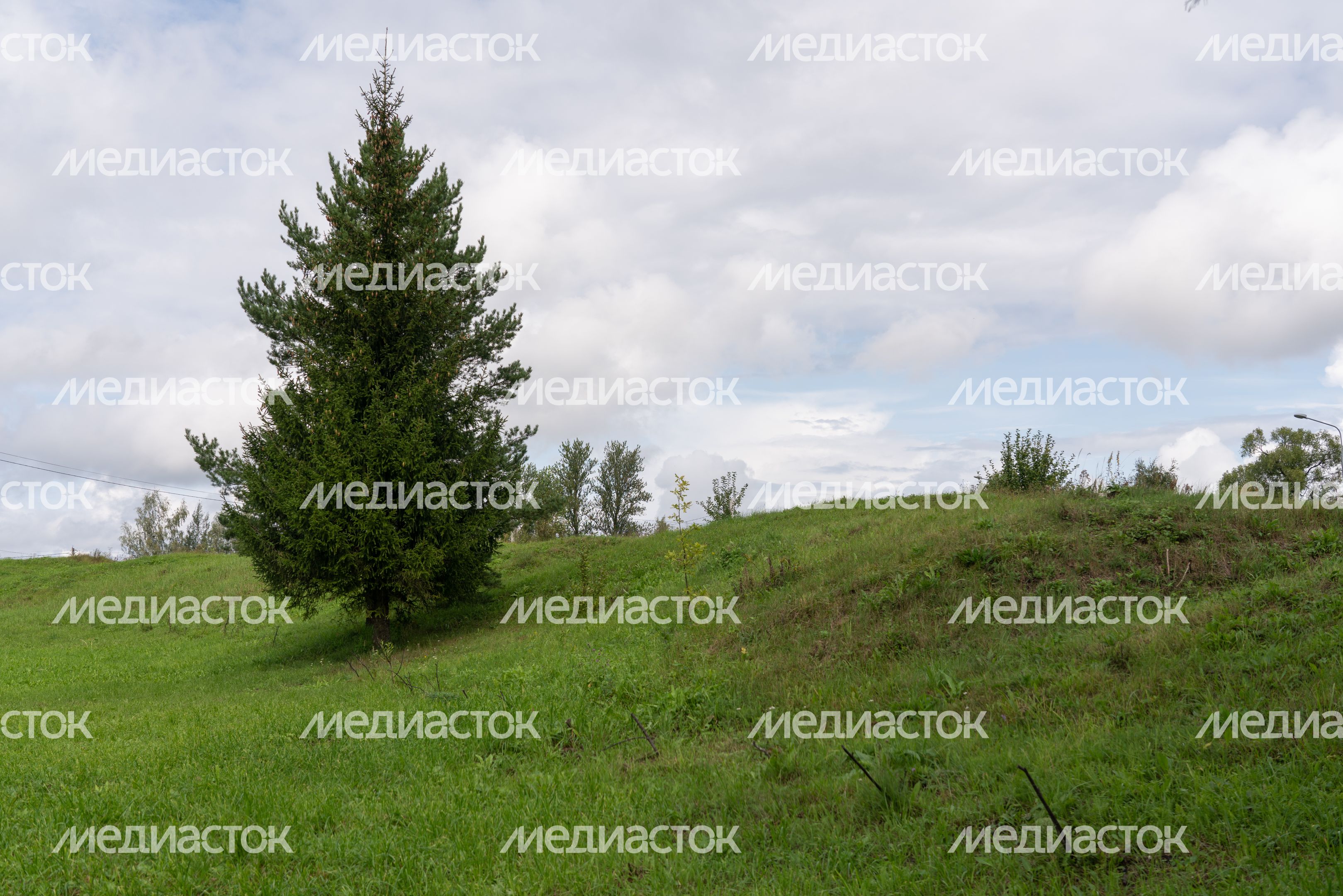 Лотошино. Микулино городище