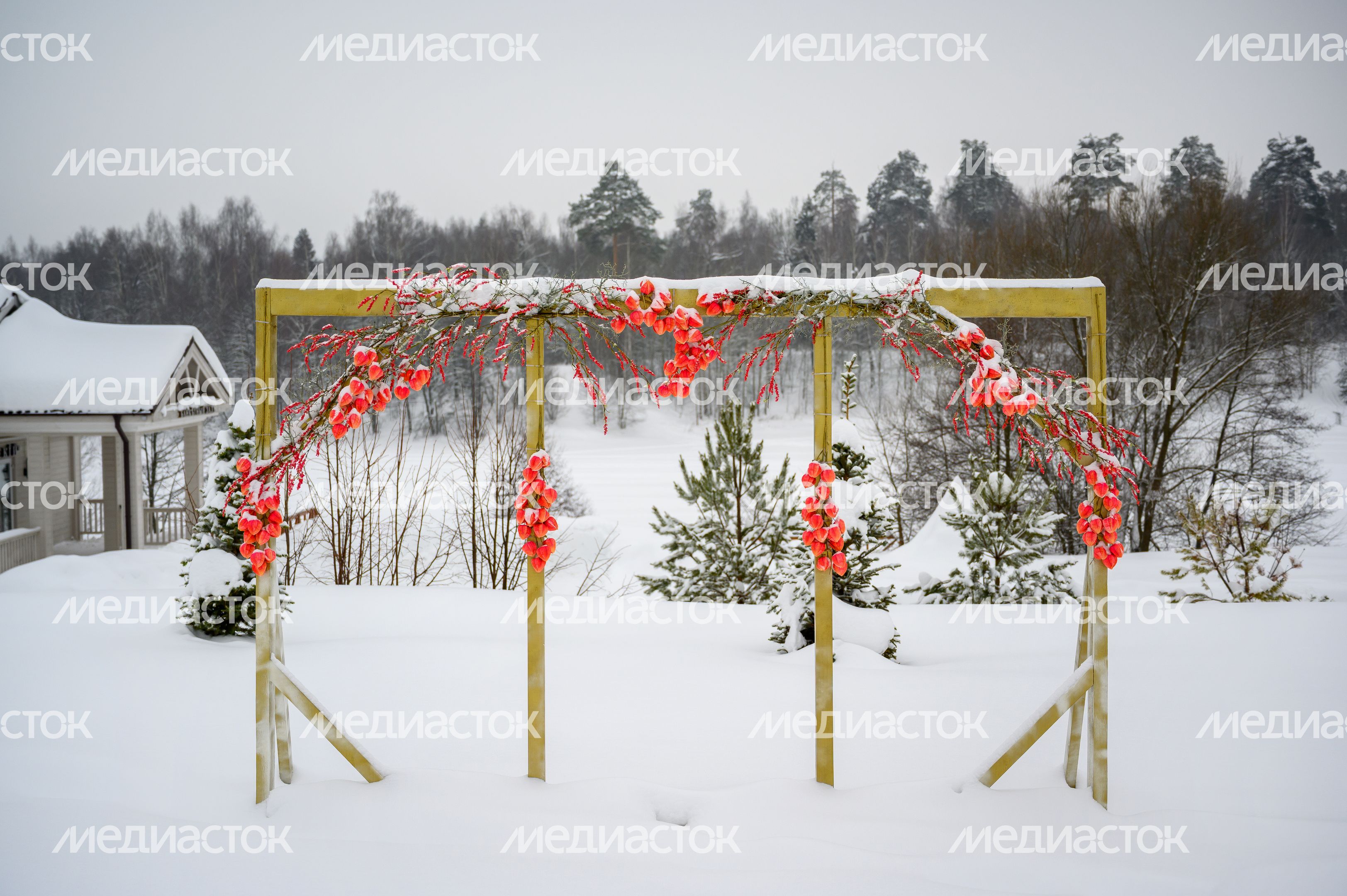 Усадьба Гребнево зимой в Щелково Усадьба Гребнево зимой в Щелково