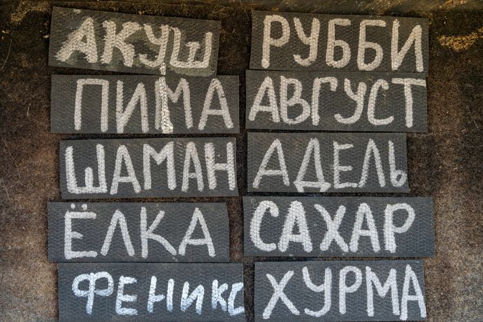 Хаски-деревня "Рузская Аляска". Лето