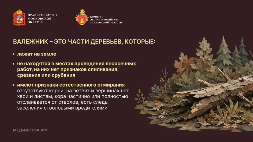 Недревесные ресурсы для собственных нужд Горизонталь 04