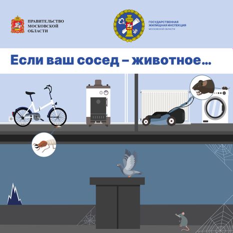 Результат опроса про домашних питомцев