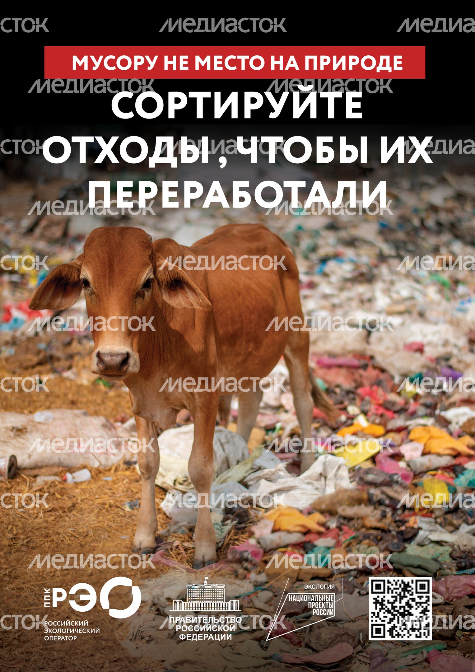 Seria 9 animal poster _A2_4