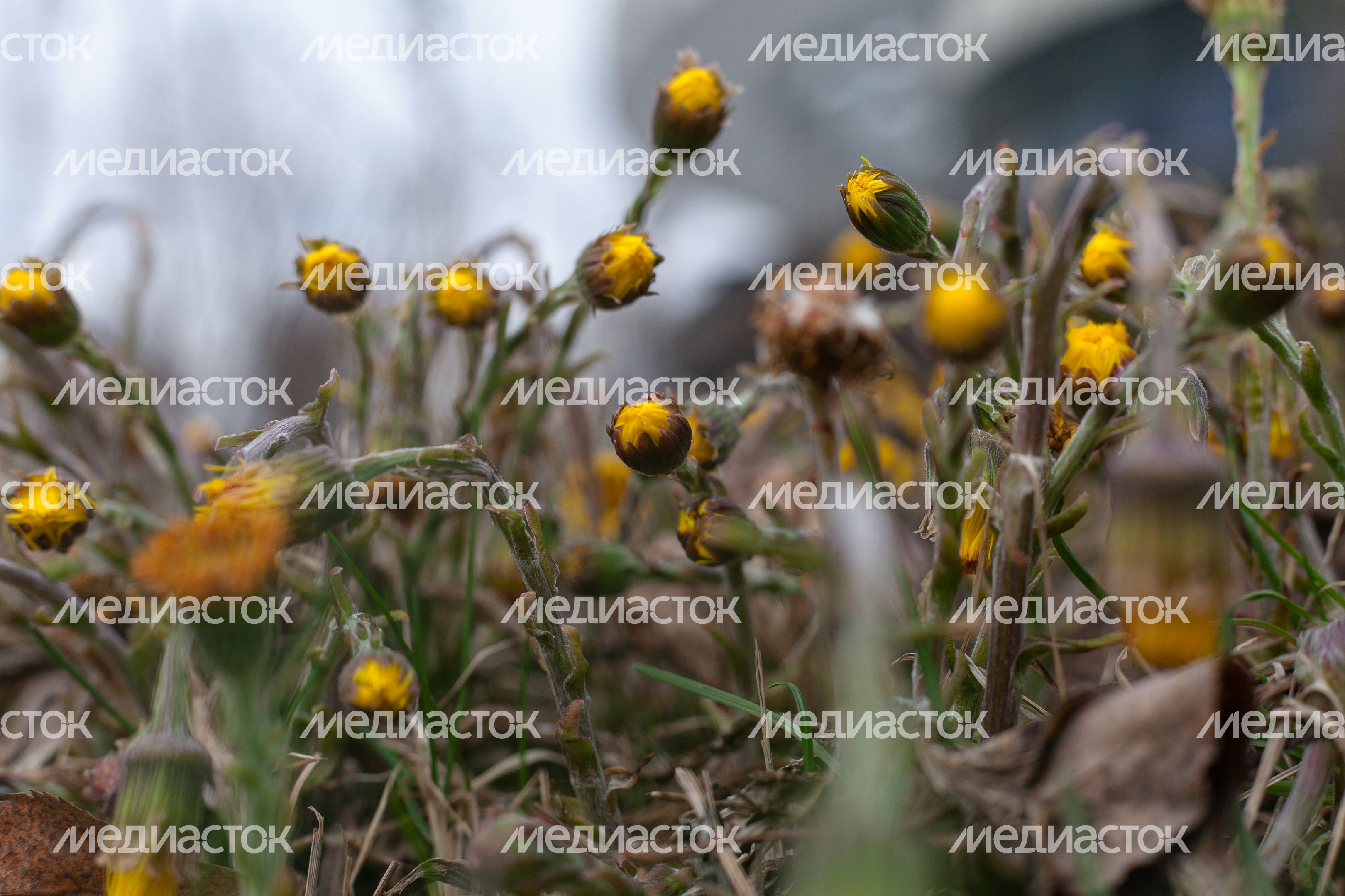 Весна в городе Дзержинский Весна в городе Дзержинский