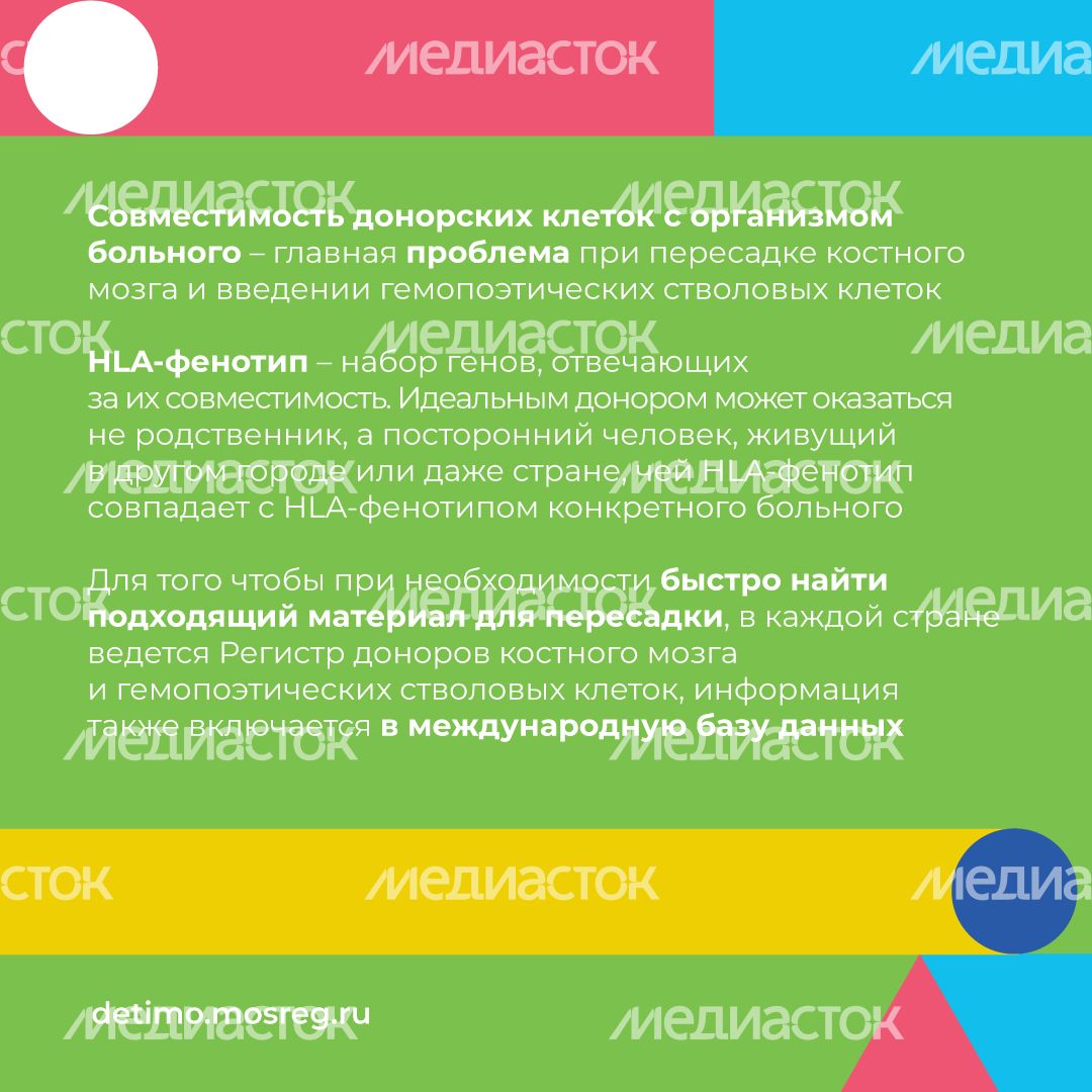как_стать_донором_костного_мозга_квадрат_05.jpg