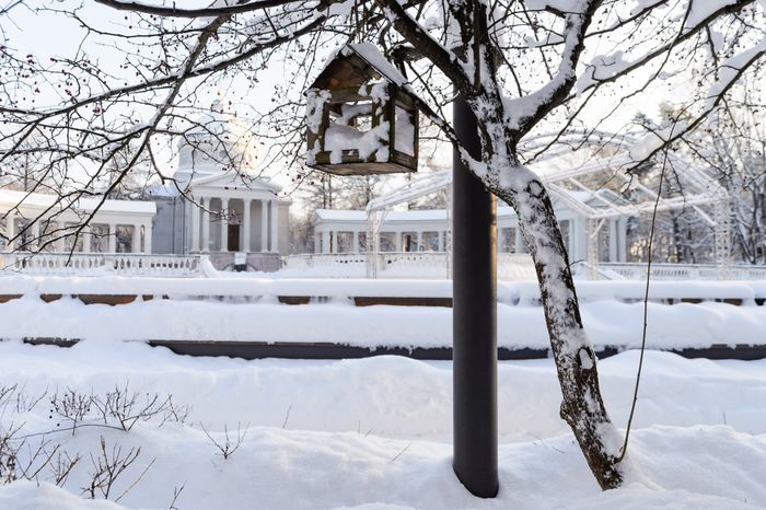 Красногорск. Усадьба «Архангельское». Зима