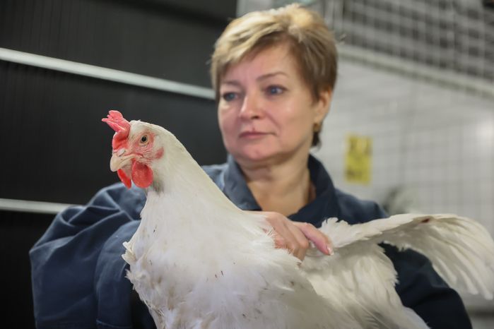 Открытие селекционно-племенного комплекса в Сергиево-Посадском округе с участием Губернатора Подмосковья