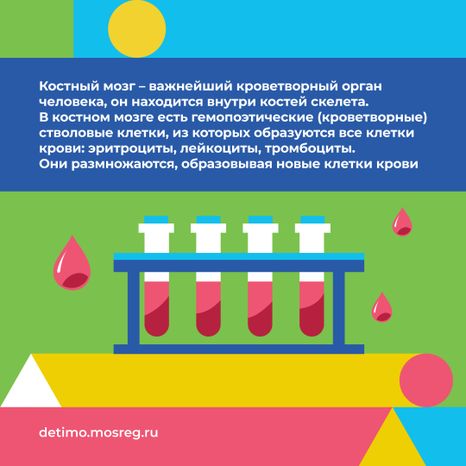 как_стать_донором_костного_мозга_квадрат_03.jpg