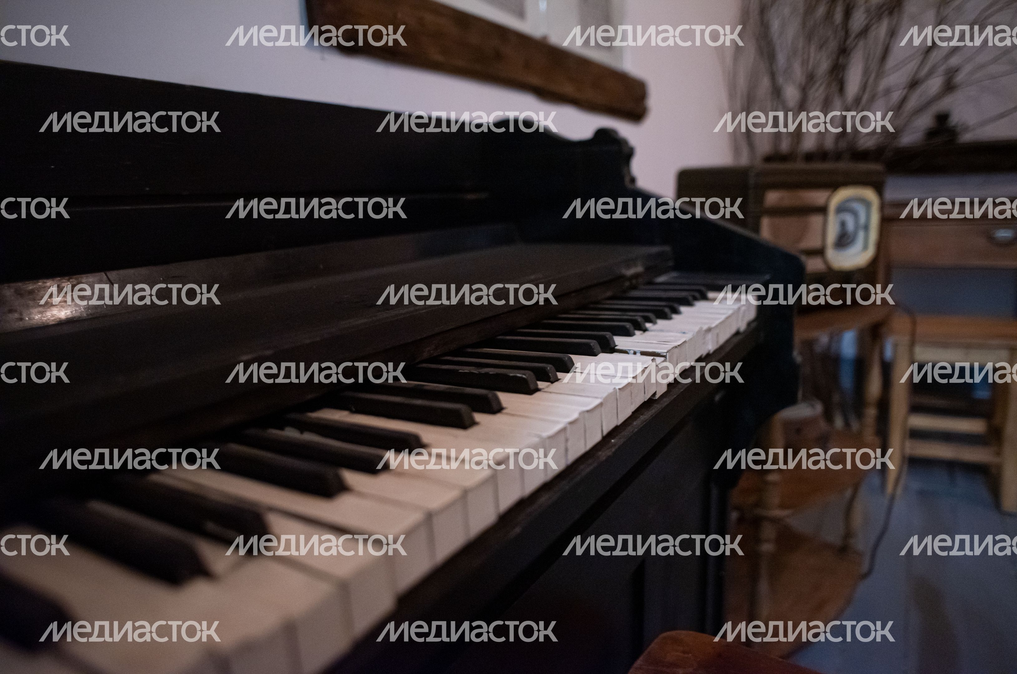 Музей истории музыкального искусства в Орехово-Зуеве