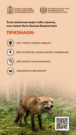 Что делать при встрече с диким животным вертикаль 05