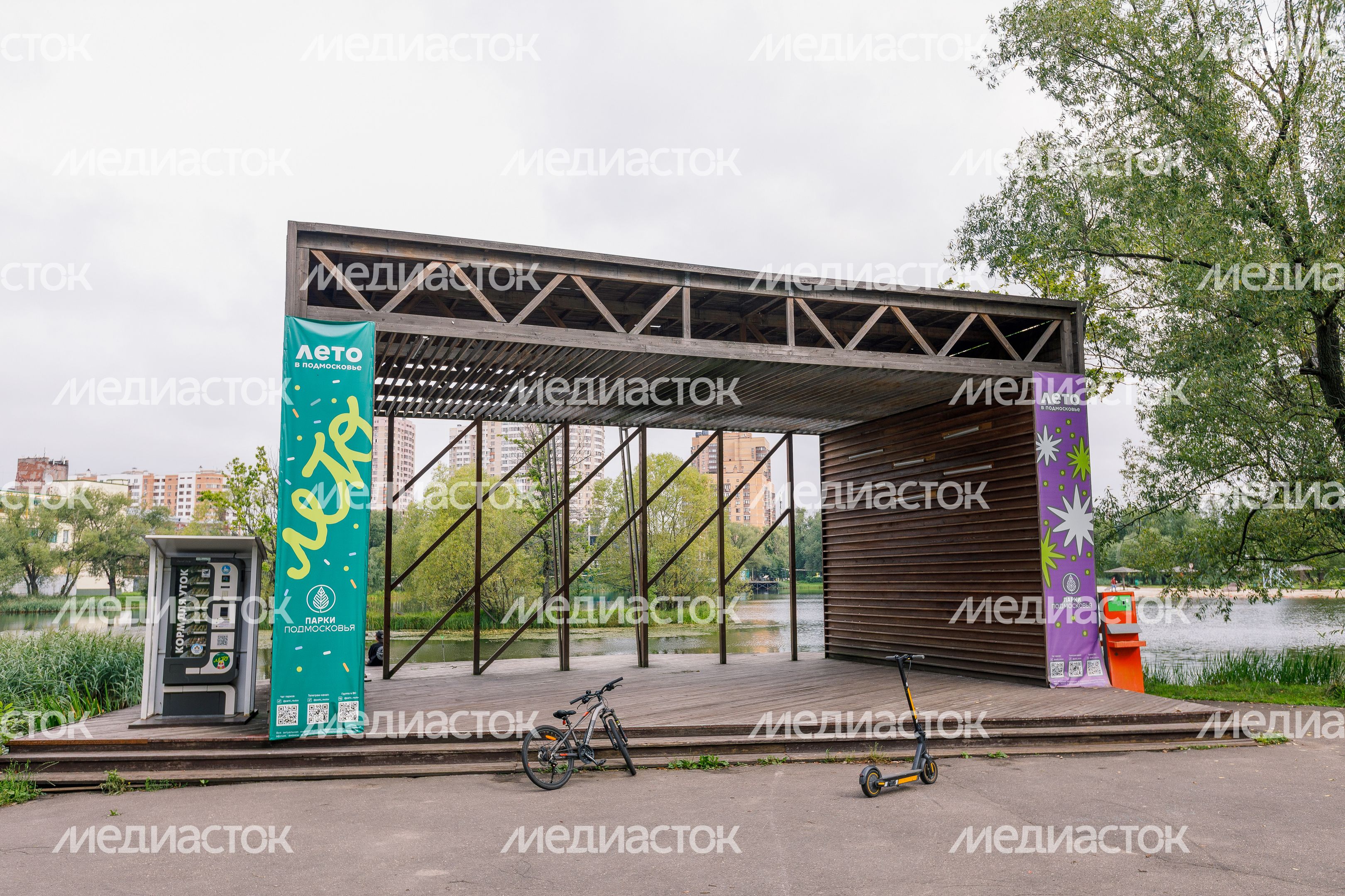 Парк "Фабричный пруд" в Реутове. Лето Парк "Фабричный пруд" в Реутове. Лето