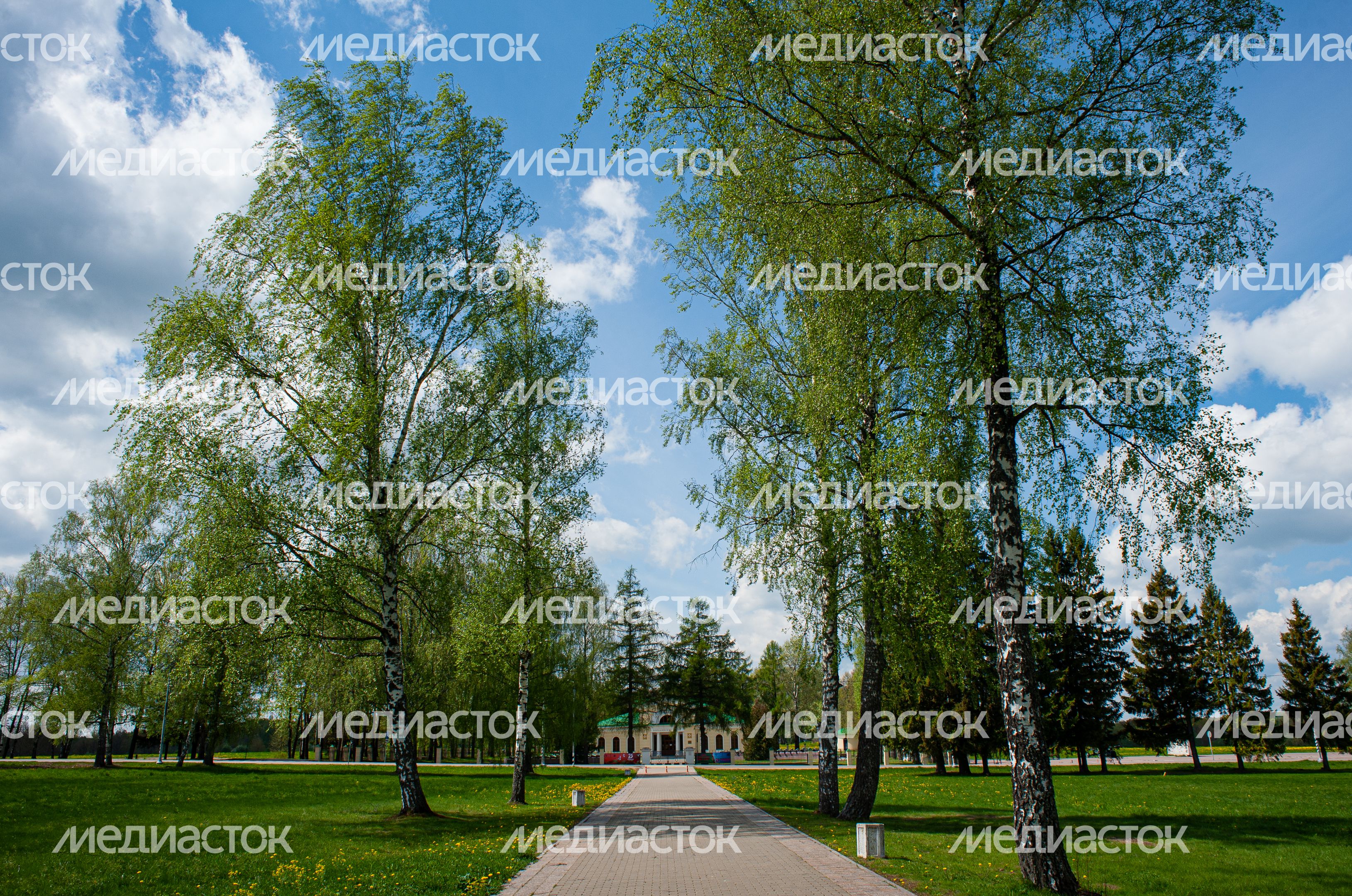 Весенние виды Музея-заповедника Бородинское поле