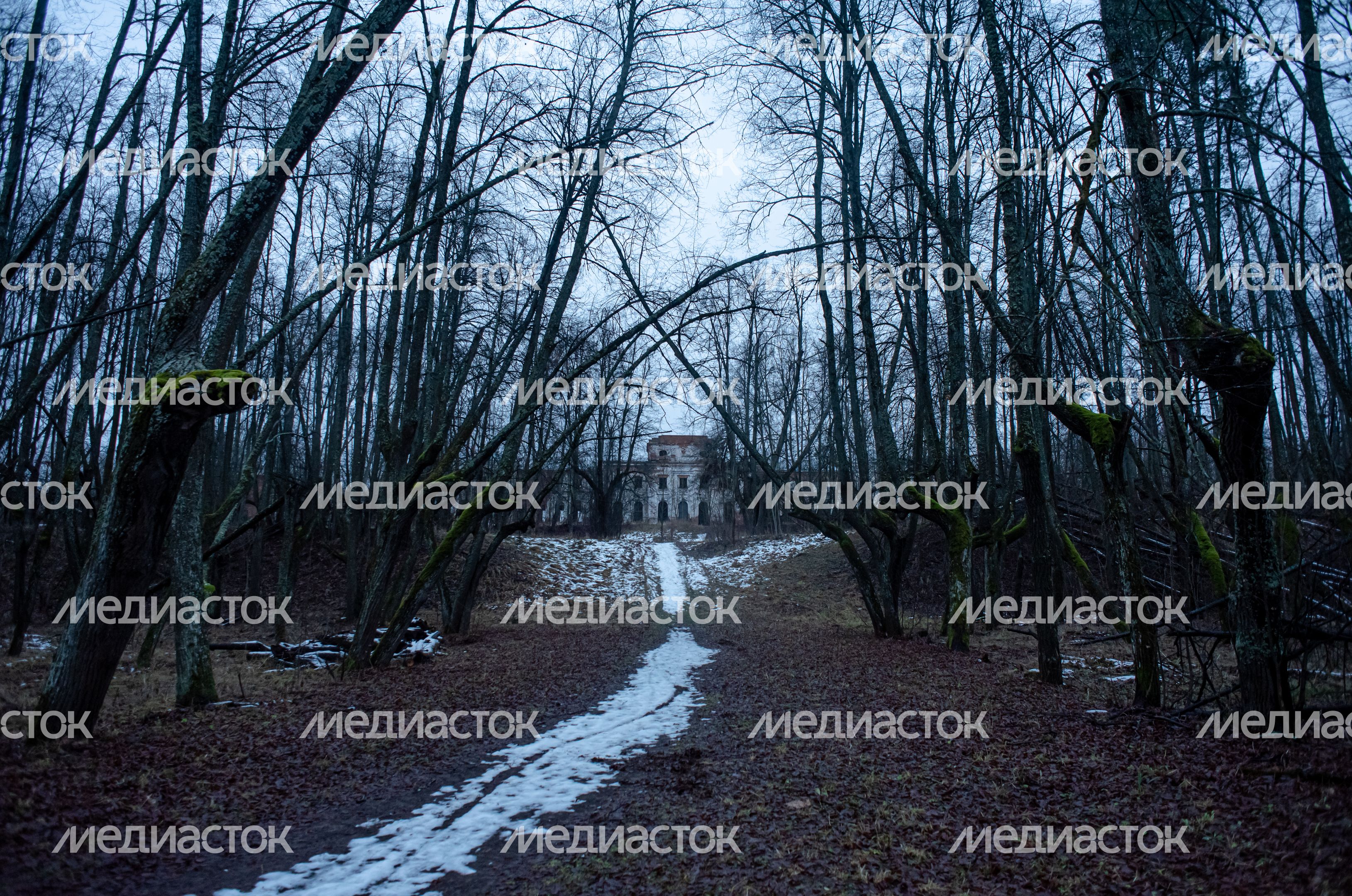 Осенняя прогулка по историческим местам села Ярополец