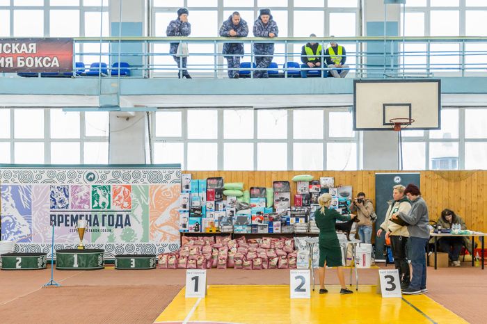 Богородский. Ногинск. Выставка собак всех пород