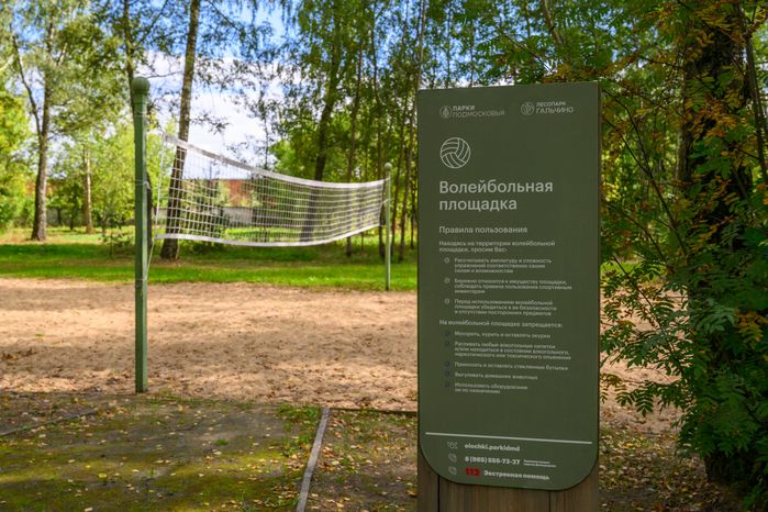 Волейбольная площадка в лесопарке «Гальчино» в Домодедово