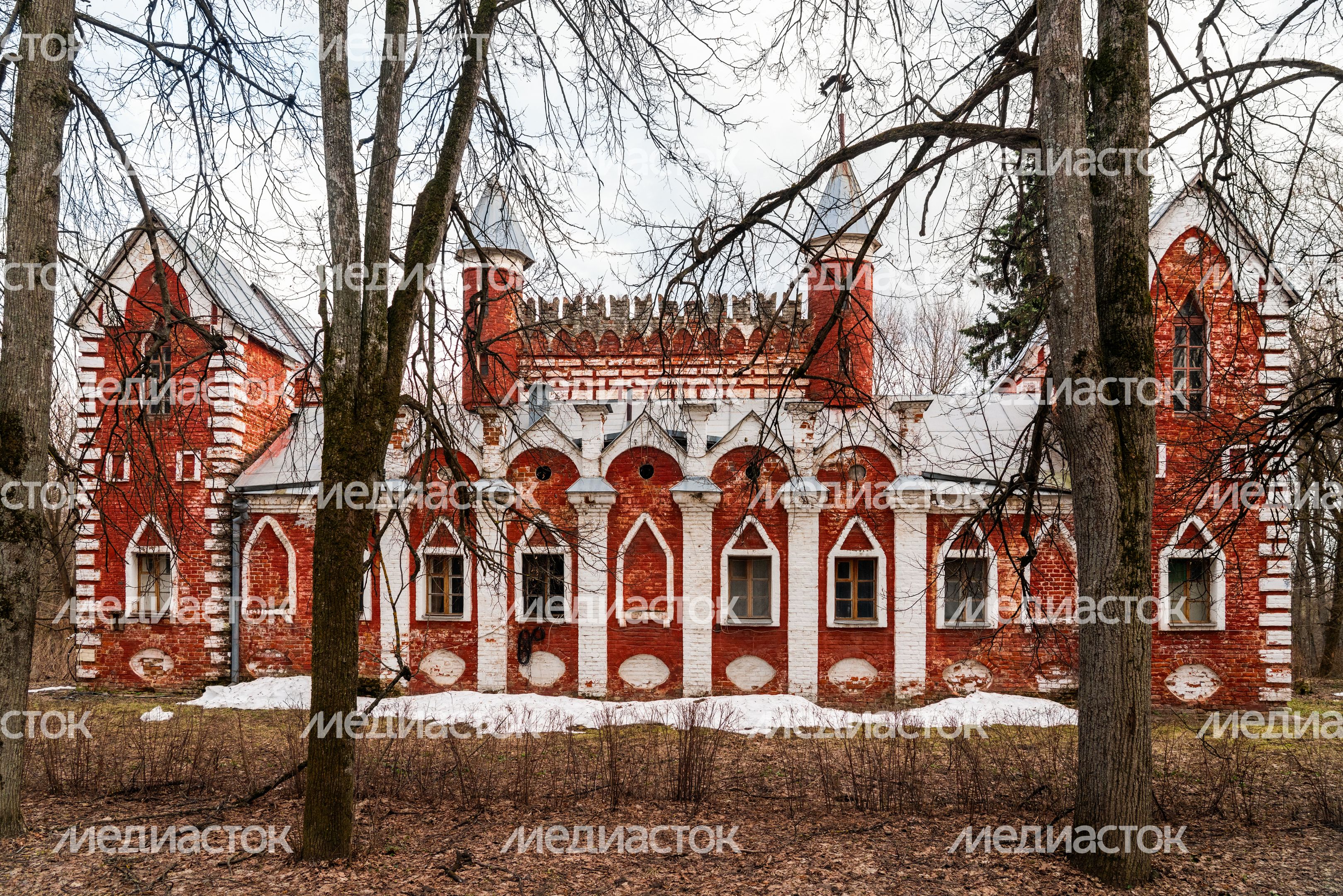 Дом-замок в усадьбе Суханово Ленинского округа весной