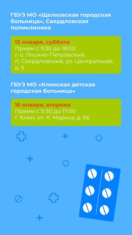 Мобильный комплекс-график на январь-вертикаль-07