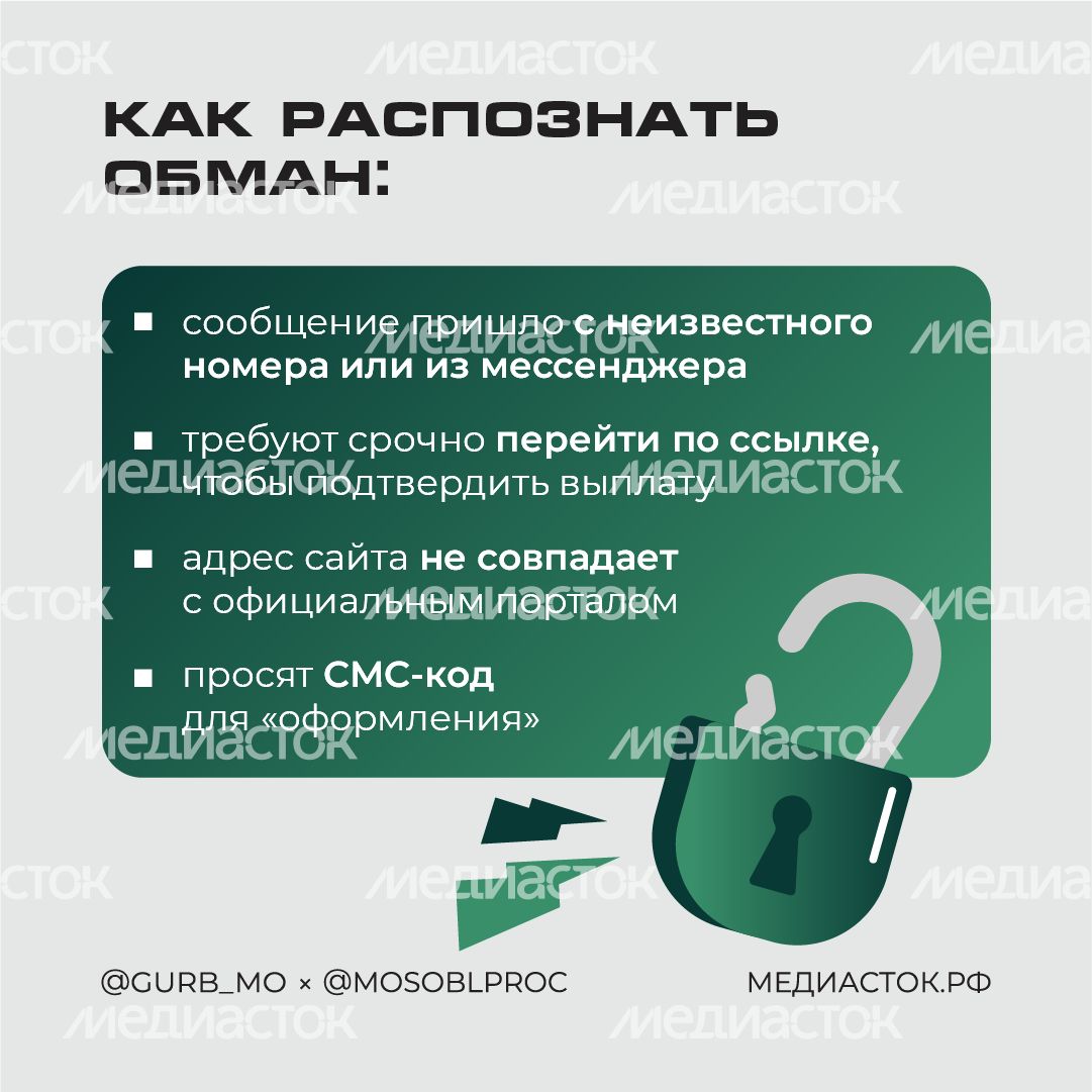 Фейковые семейные выплаты квадрат 04