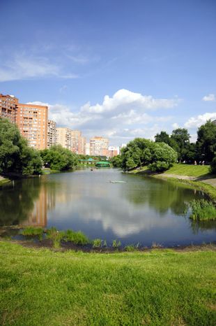 Барашкинский пруд в Химках