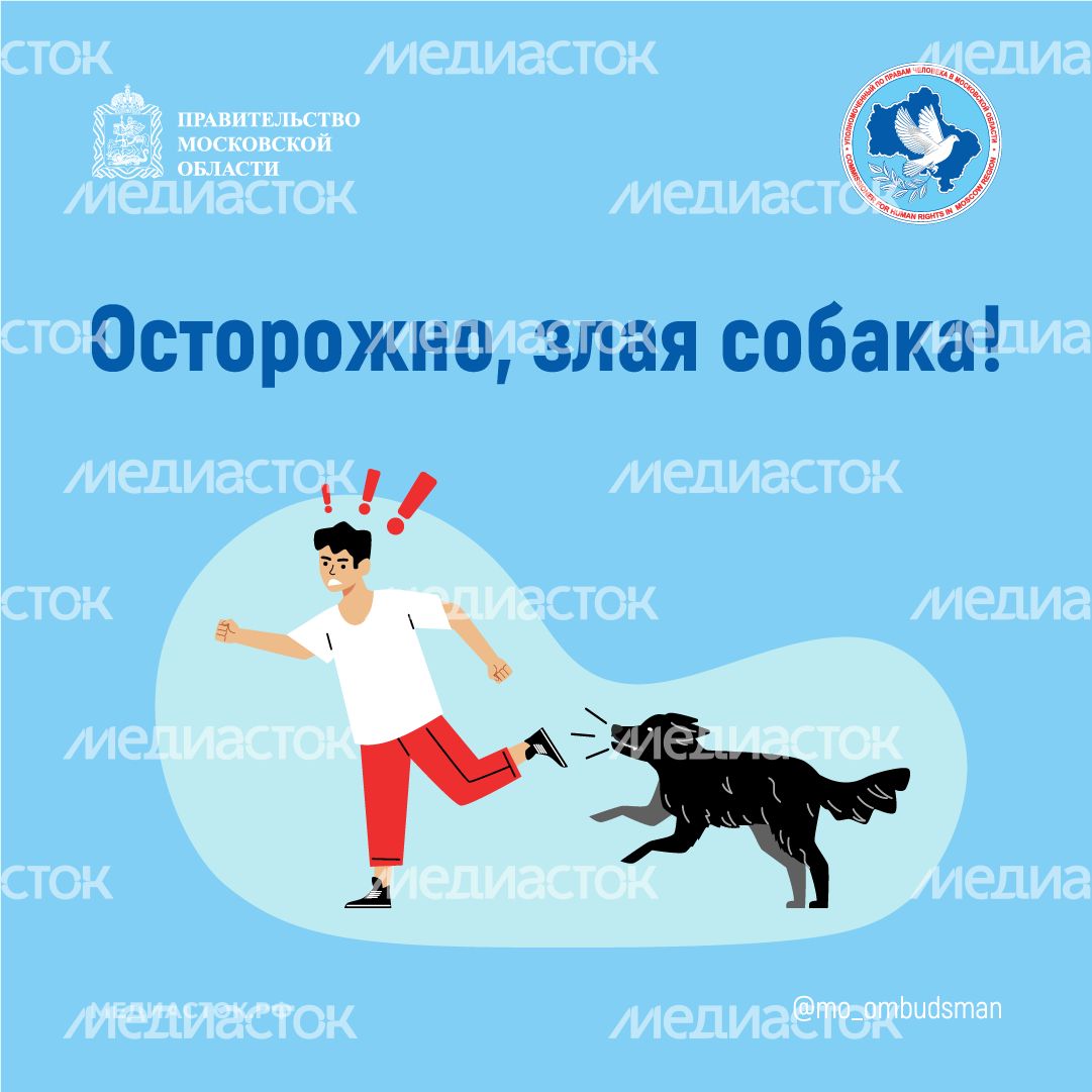 Осторожно злая собака квадрат 01 Осторожно злая собака квадрат 01