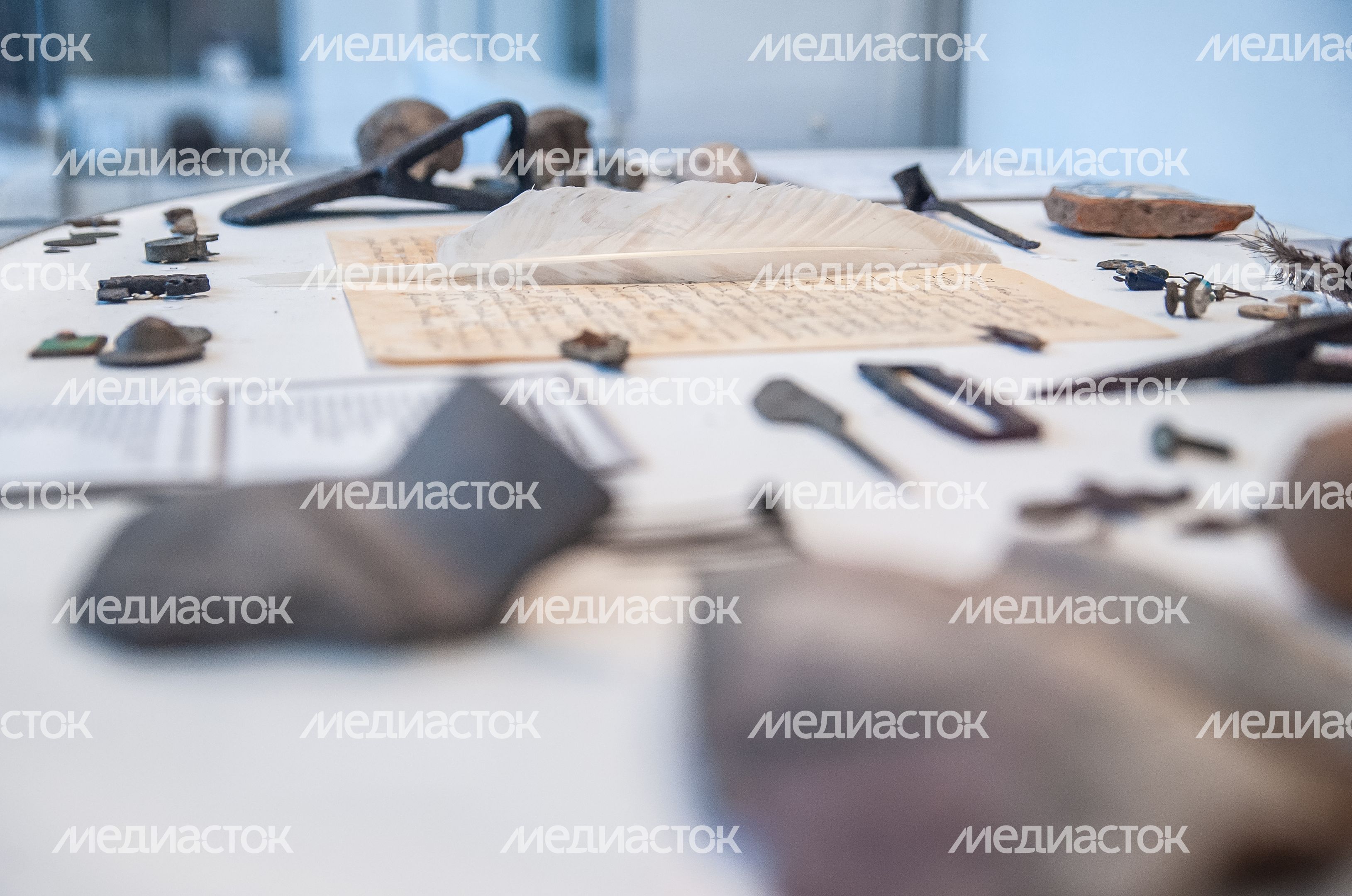 Музей археологии и краеведения города Дубны Московской области