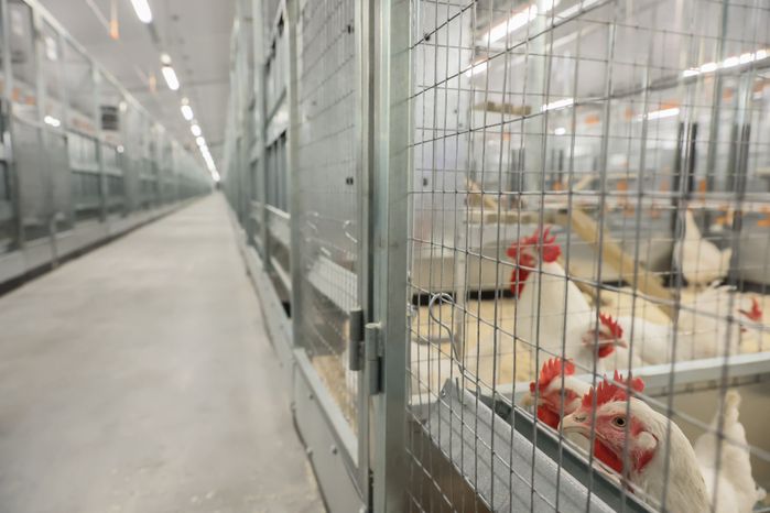 Открытие селекционно-племенного комплекса в Сергиево-Посадском округе с участием Губернатора Подмосковья