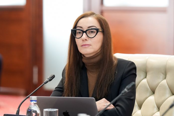 Екатерина Швелидзе на заседании Межпарламентской комиссии по сотрудничеству России и Белоруссии