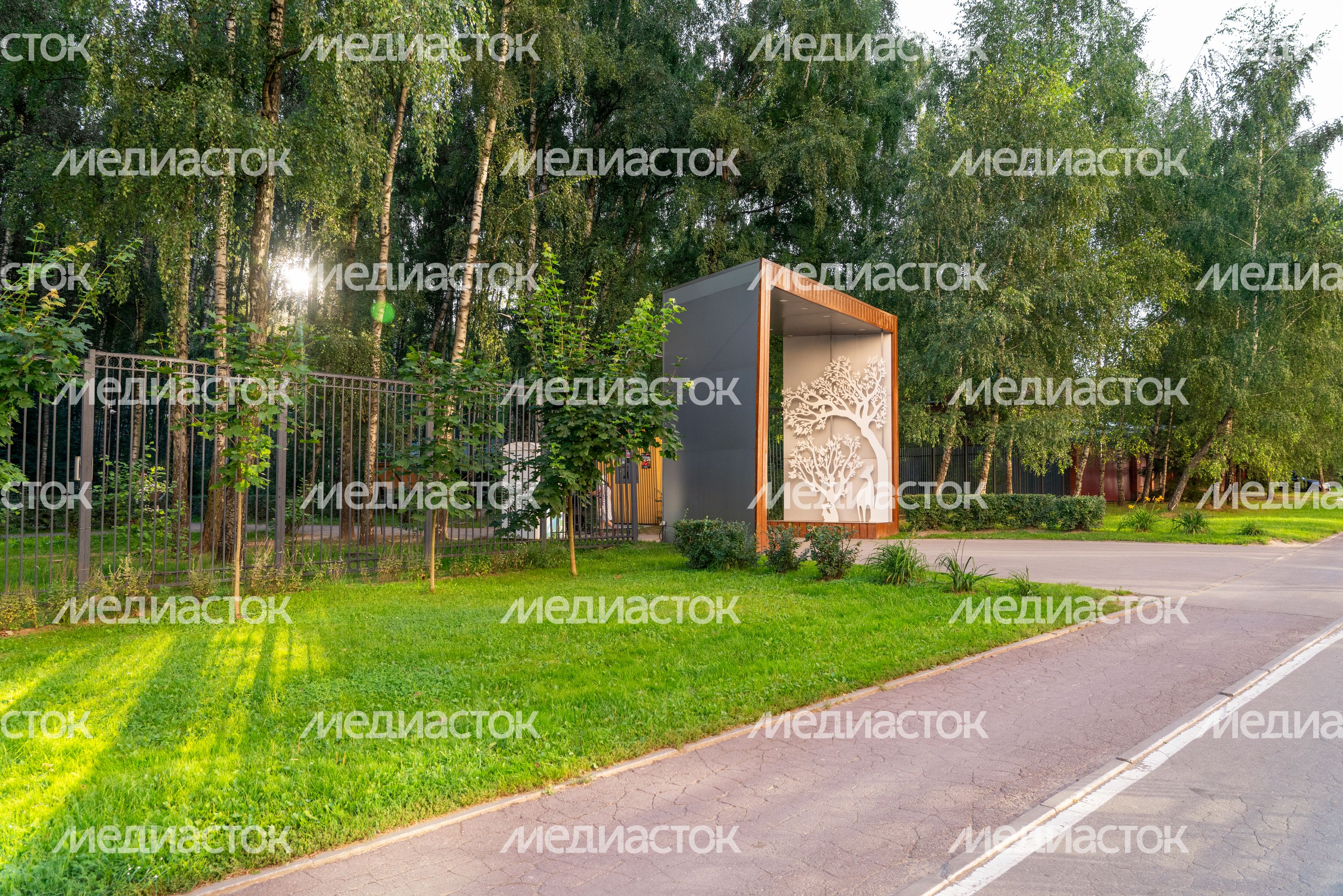 Лето в лесопарке «Городской лес» в Домодедово