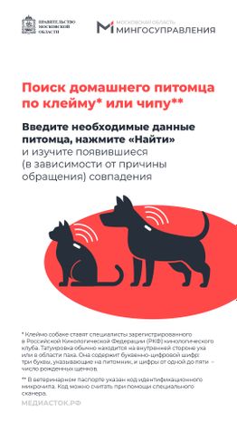 Домашние животные вертикаль 05