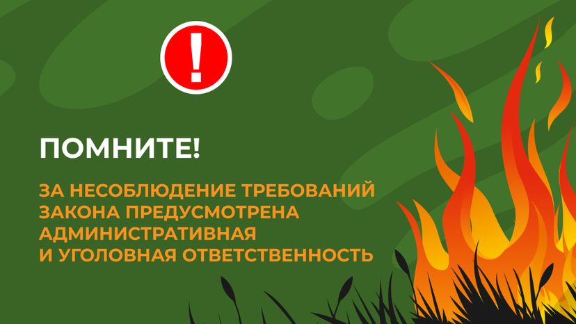 пал_гор_8.jpg