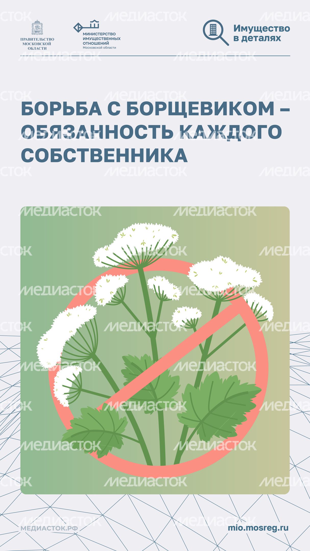 Борьба с борщевиком вертикаль 01