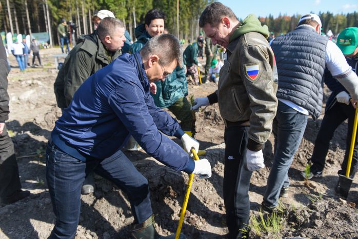 Ежегодная экологическая акция «Наш лес. Посади свое дерево» в Одинцовском городском округе