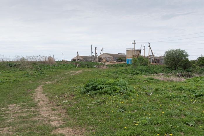 Конюшня-приют «Шанс на жизнь» в Клинском районе Подмосковья