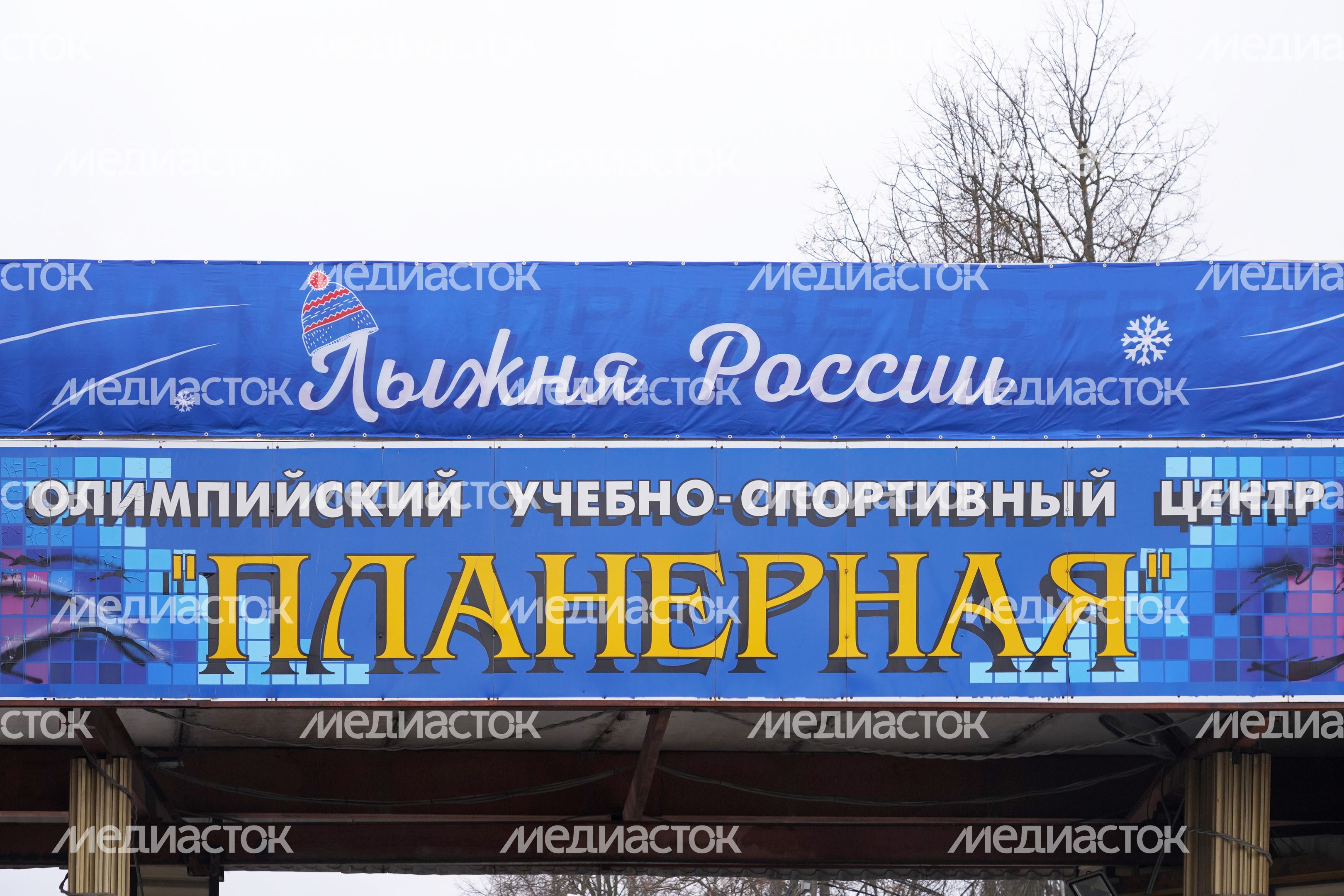 Лыжня России Лыжня России