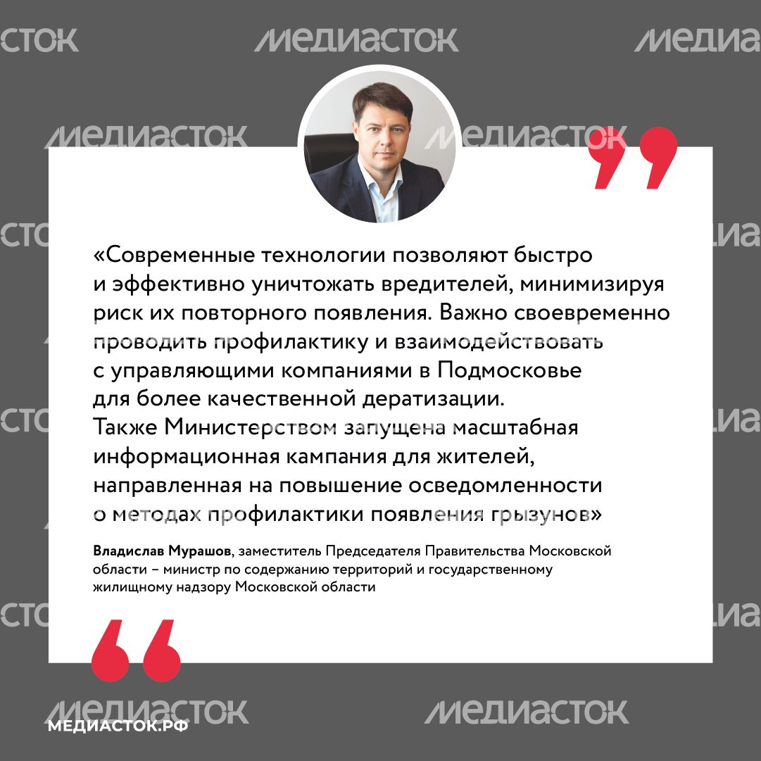 Крысы в МКД квадрат (3) Крысы в МКД квадрат (3)