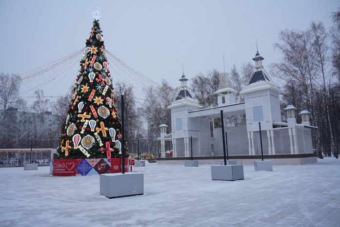 Проверка Губернатором Центрального парка культуры и отдыха в Пушкино
