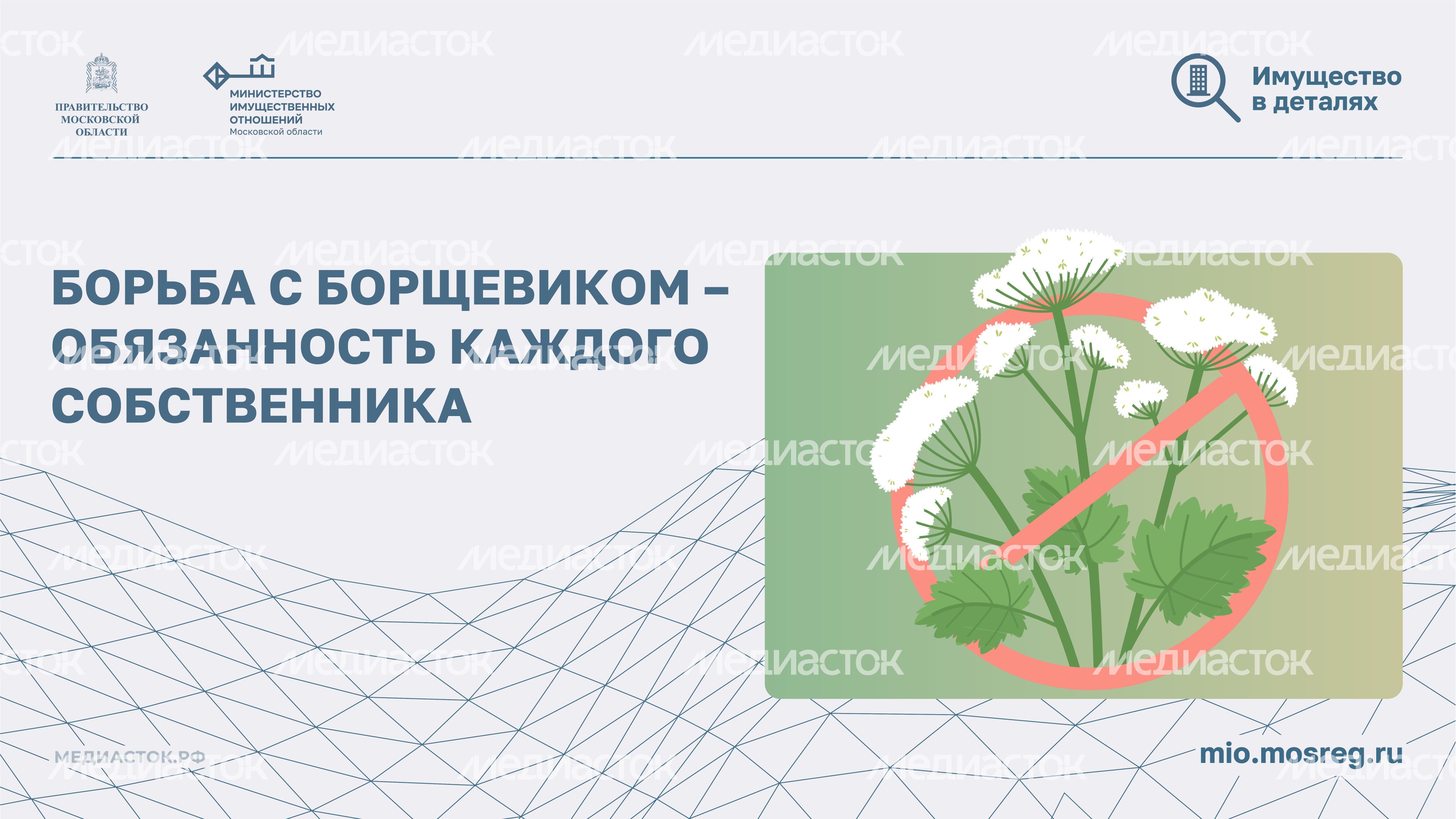 Борьба с борщевиком горизонталь 01 Борьба с борщевиком горизонталь 01