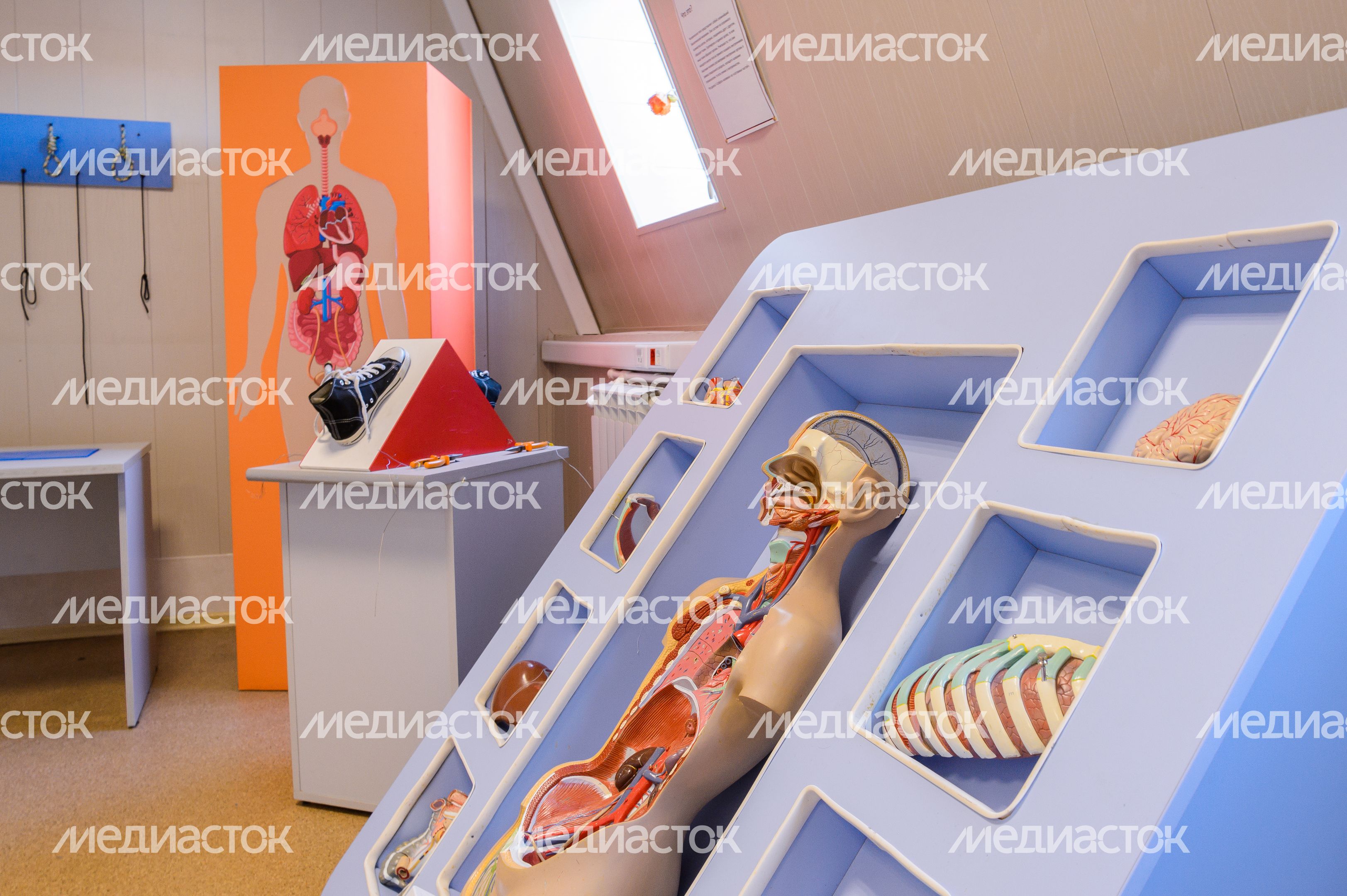 Квест-музей Эйнштейна в Ногинске