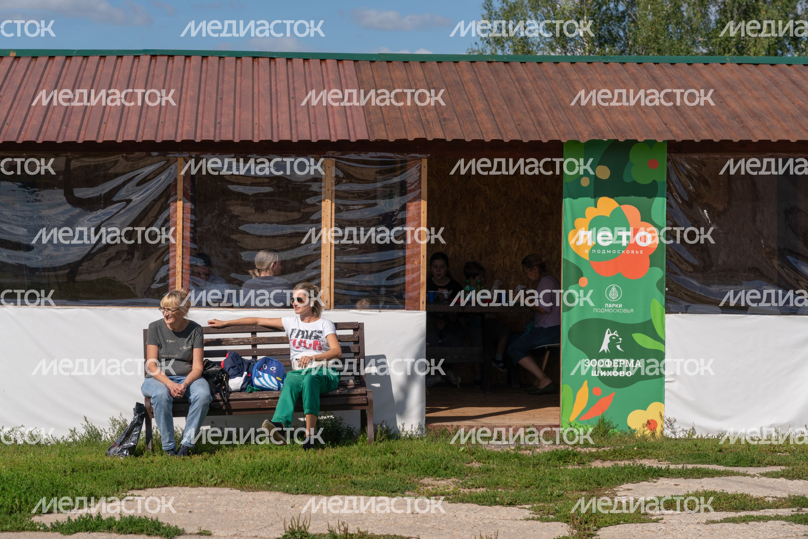 Животные на зооферме "Шихово" в Дмитровском округе Животные на зооферме "Шихово" в Дмитровском округе