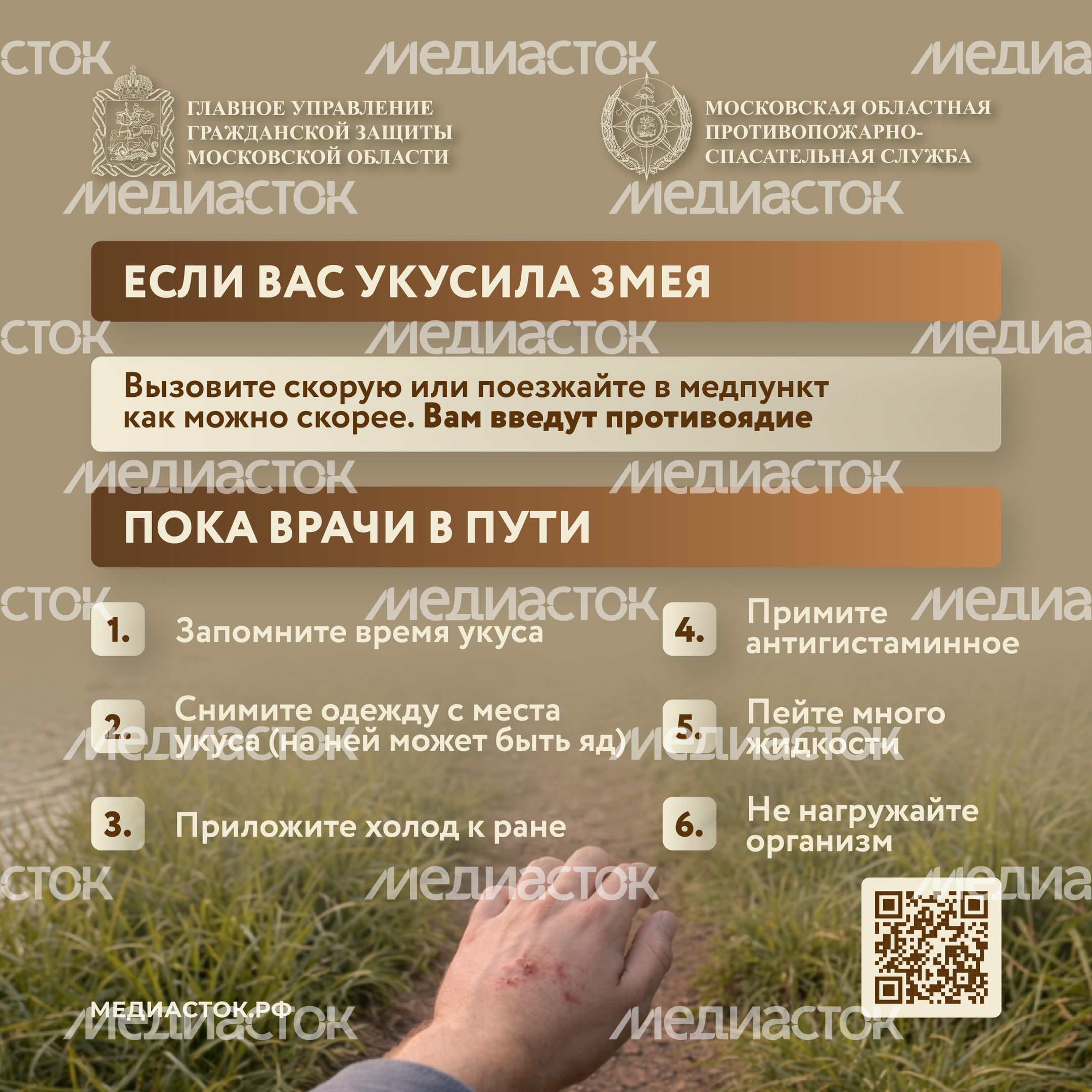 Гадюки квадрат 07