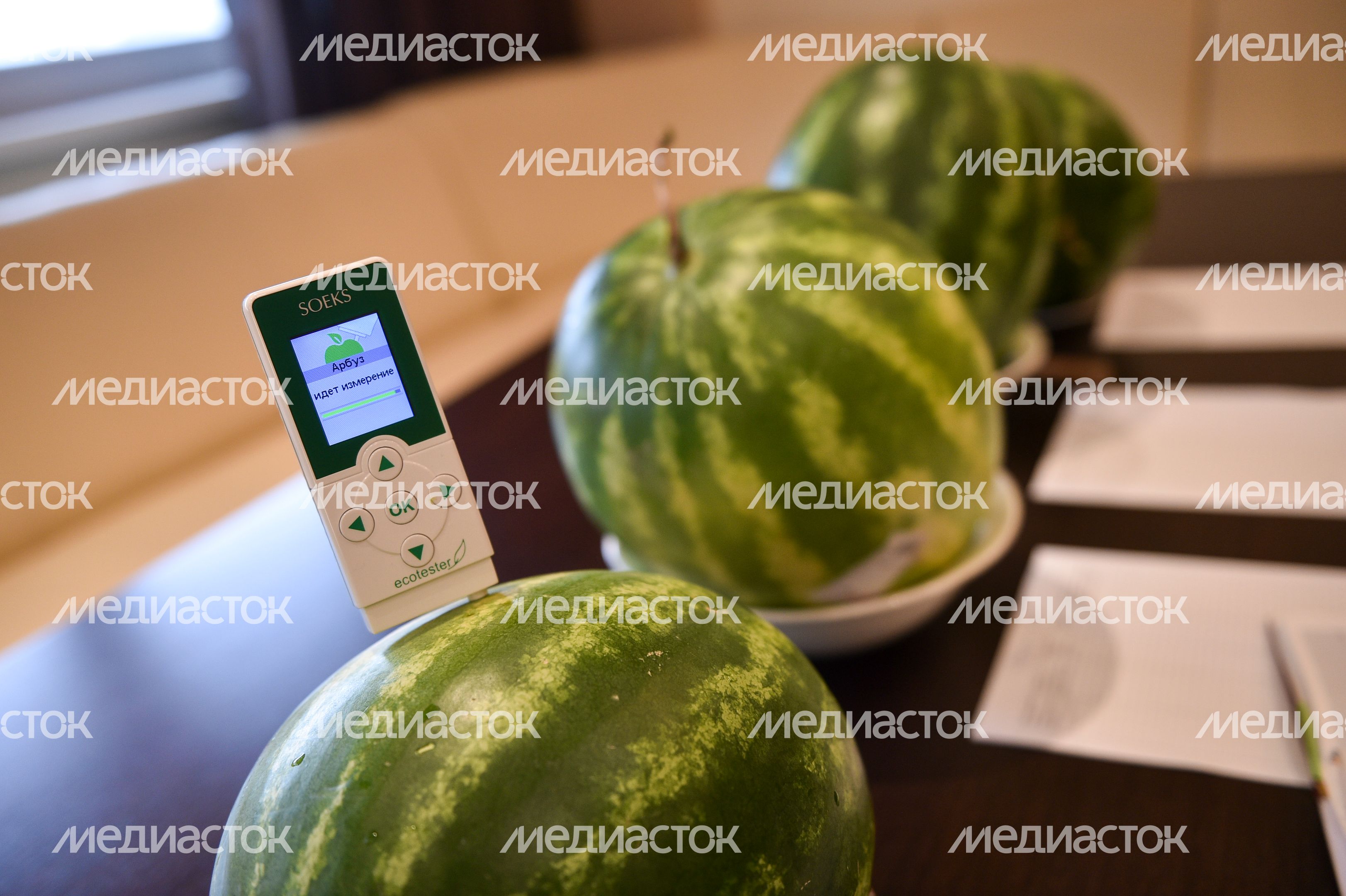 Эксперимент РИАМО: где купить самые вкусные арбузы в Москве