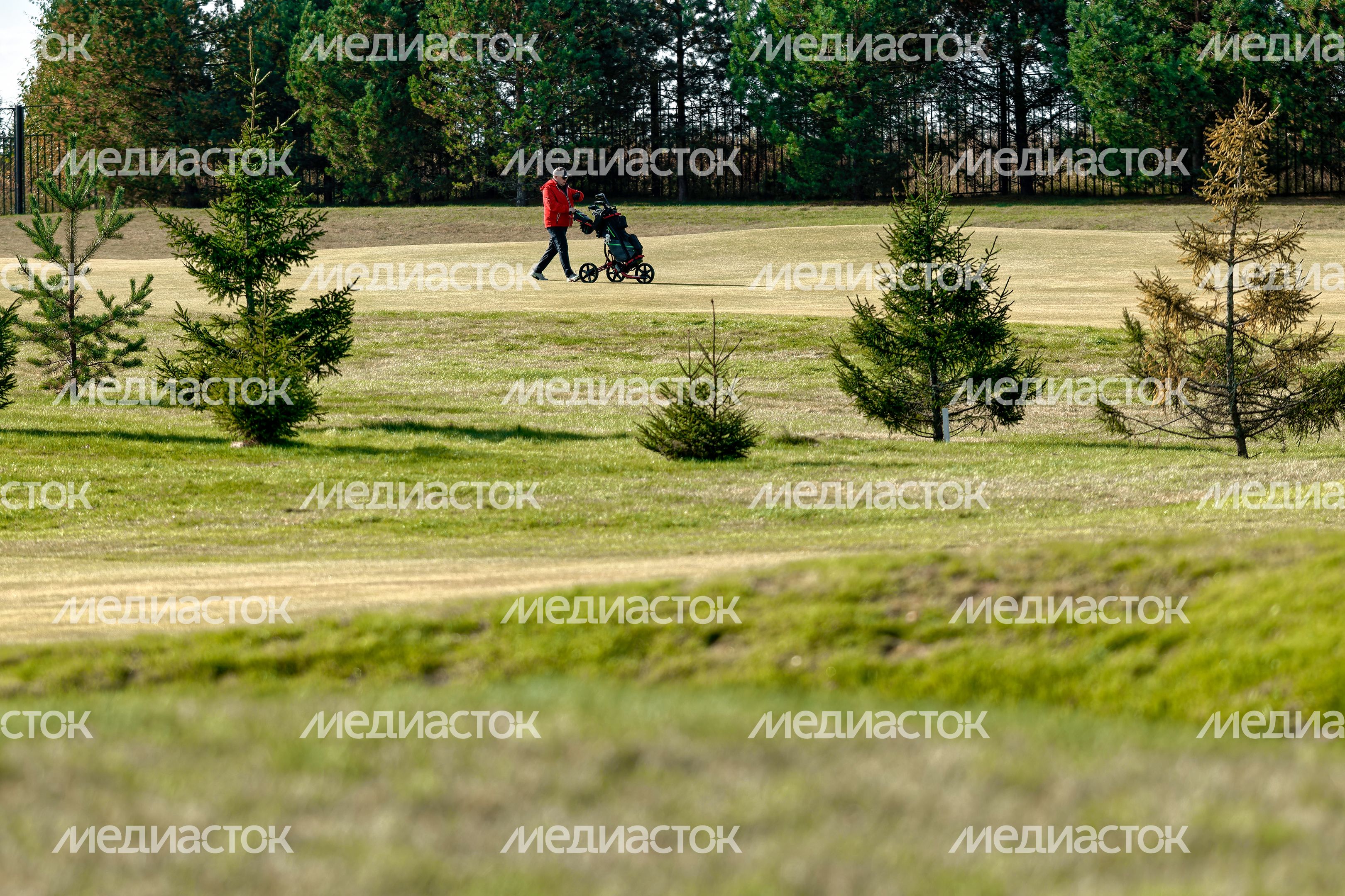 Гольф-поле клуба Dmitrov Golf Resort в Дмитровском округе Гольф-поле клуба Dmitrov Golf Resort в Дмитровском округе