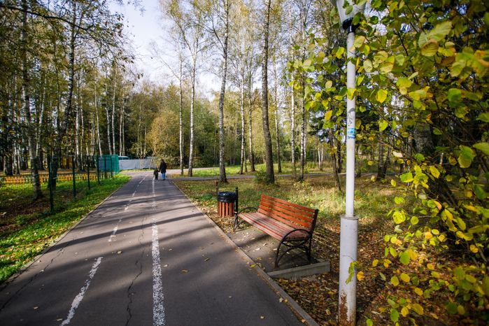 Краснознаменск. «Городской парк»